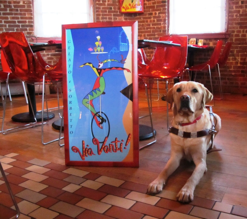 Via Vanti! Restaurant & Gelateria Hosts “Dining in the Dark” Event