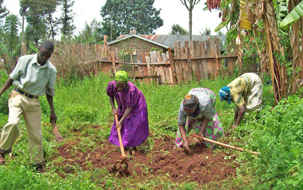 Rachele Rose Day Spa Participates in the Éminence Organic Skin Care Forests for the Future Environmental Initiative