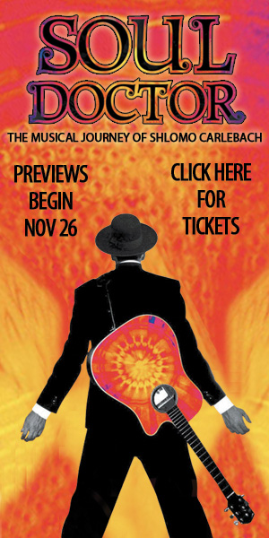 soul_doctor_300x600_banner2