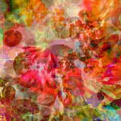 Macintosh HD:Users:christopherbrescianyc:Desktop:CB Luscious.jpeg