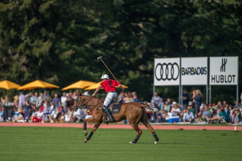 A person riding a horse Description automatically generated with medium confidence