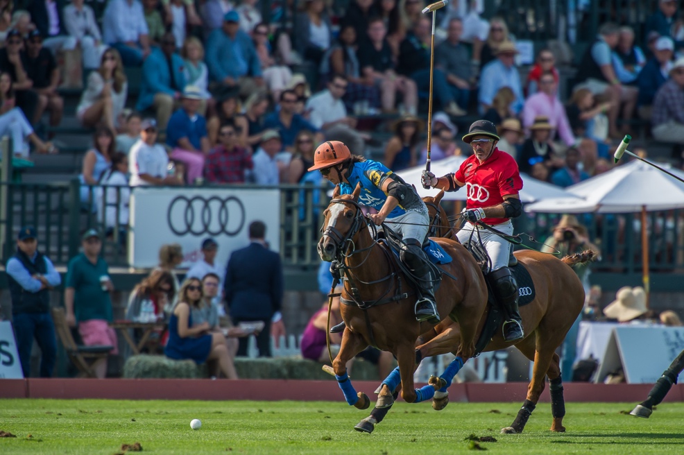 A picture containing person, grass, player, sport Description automatically generated