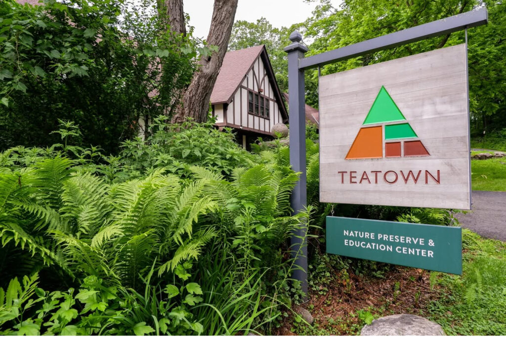 Teatown