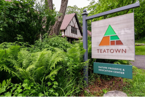 Fall Into Nature at Teatown Lake Reservation — Leaf Peeping, Forest Bathing, and More Just Outside NYC