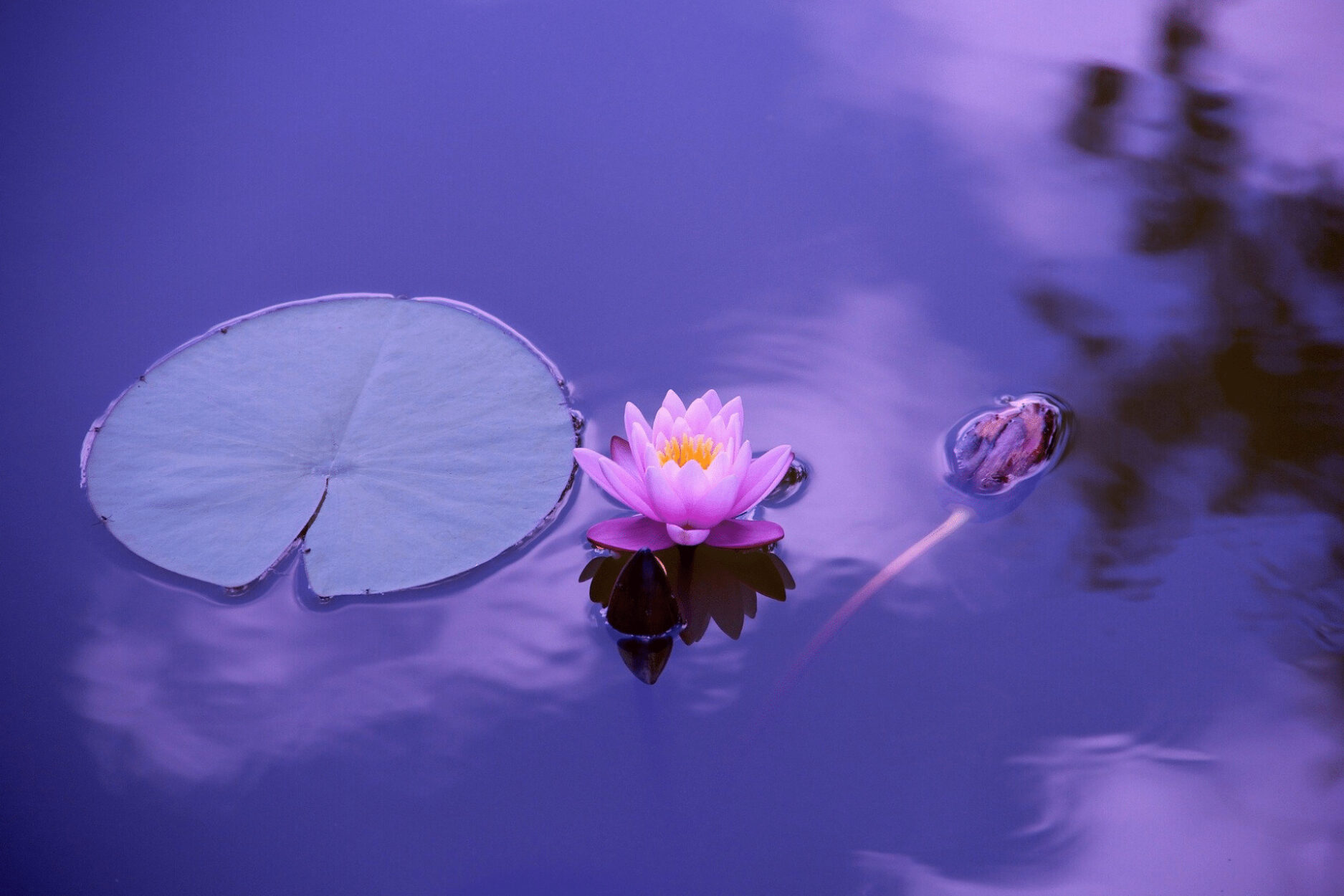 Spirituality - The Daily Positive