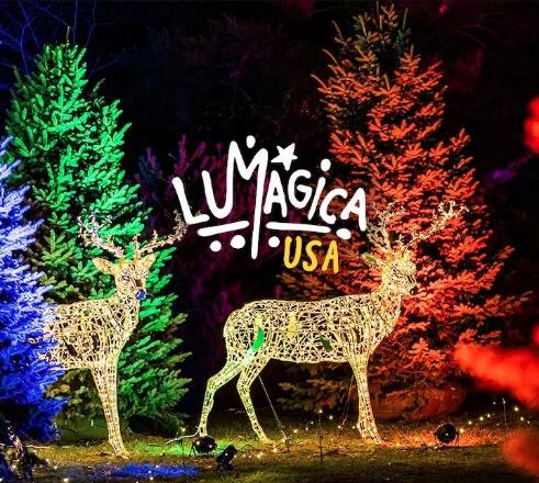 A picture containing text, tree, outdoor, giraffe Description automatically generated