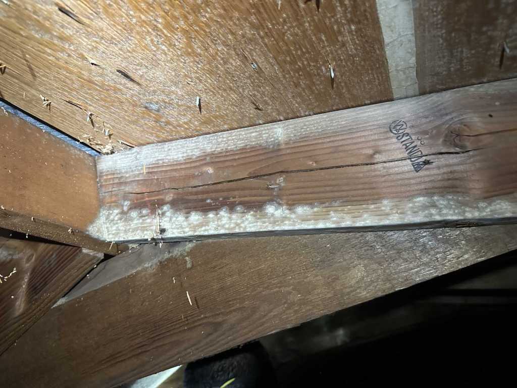 SIGNS OF MOLD IN YOUR CRAWL SPACE