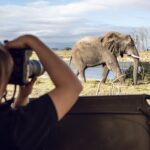 A back view of a girl taking a photo of an elephant with her film camera on an African Safari experience.