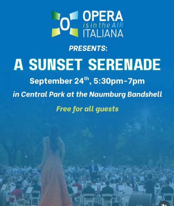 Sunset + Opera + Central Park = A Perfect NYC Night